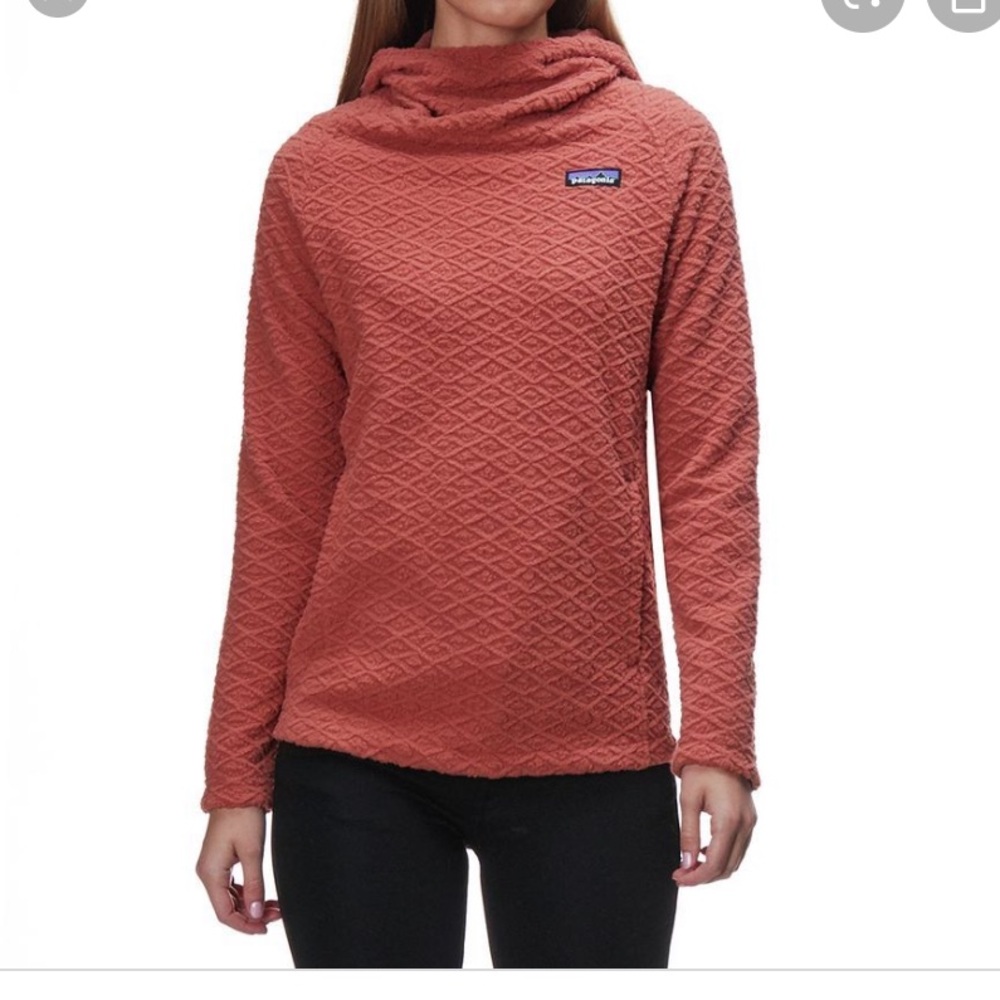 patagonia diamond capra hoodie size XS